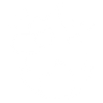 Ômega 3